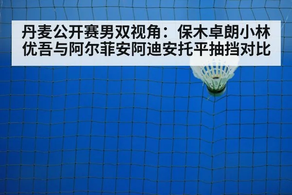 badminton net shot