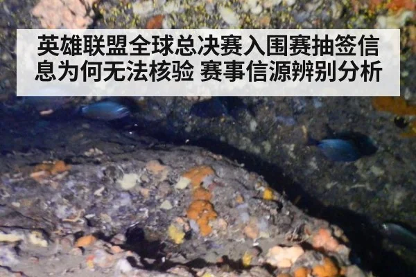 英雄联盟全球总决赛入围赛抽签信息为何无法核验 赛事信源辨别分析