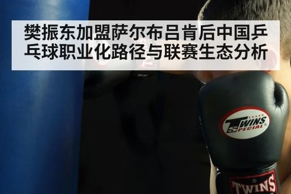 樊振东加盟萨尔布吕肯后中国乒乓球职业化路径与联赛生态分析